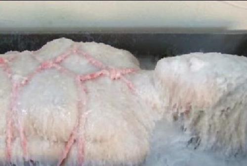 ウェット＆メッシュ動画 亀甲縛りで身動き取れない状態でロウをかけられる